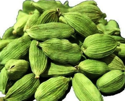 Green Cardamom Elaichi